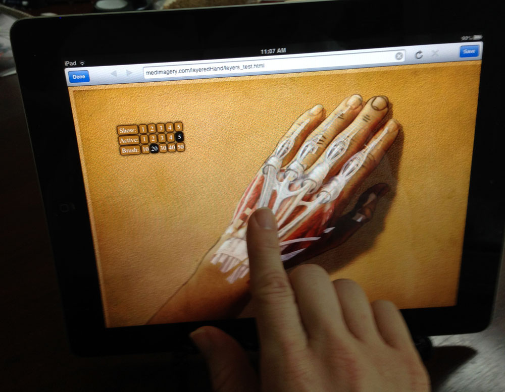 Hand Anatomy App for iPad and Android Devices. Medimagery App. © Laura Maaske - Medimagery LLC