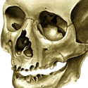 © Laura Maaske
Title: Skull, Watercolor
Author: Laura Maaske
