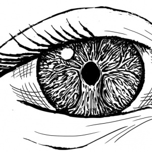 eye