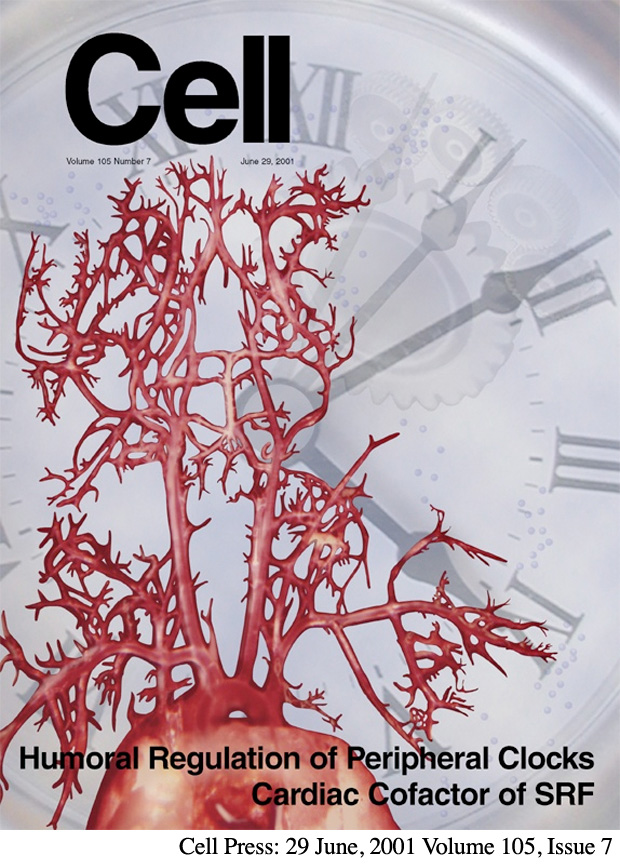 Cell Press Journal Cover 29 June 2001, Illustrated by Laura Maaske
