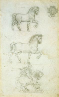 Image result for Leonardo da Vinci, The Bones and Muscles of theShoulder. Pen and ink with wash over black chalk, circa1510-1511.Royal Collection, The Windsor Castle