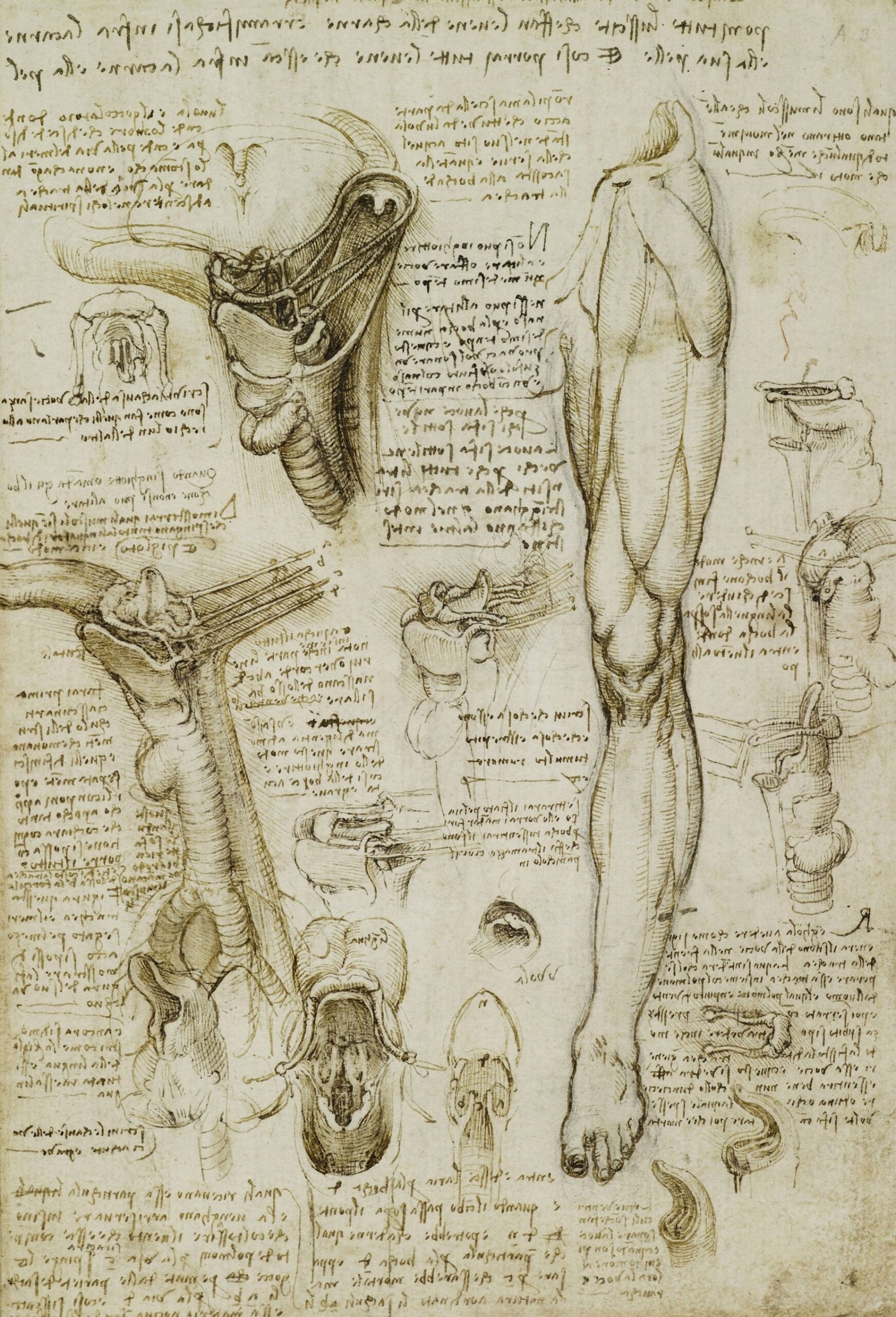 Related image