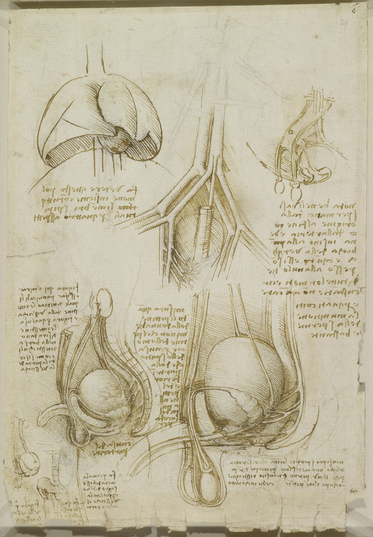 Related image