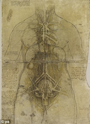 Dedicated: Da Vinci dissected more than 30 human corpses to learn about the human anatomy so his paintings and sculptures would be as realistic and accurate as possible