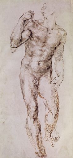 Image result for Leonardo da Vinci, The Bones and Muscles of theShoulder. Pen and ink with wash over black chalk, circa1510-1511.Royal Collection, The Windsor Castle