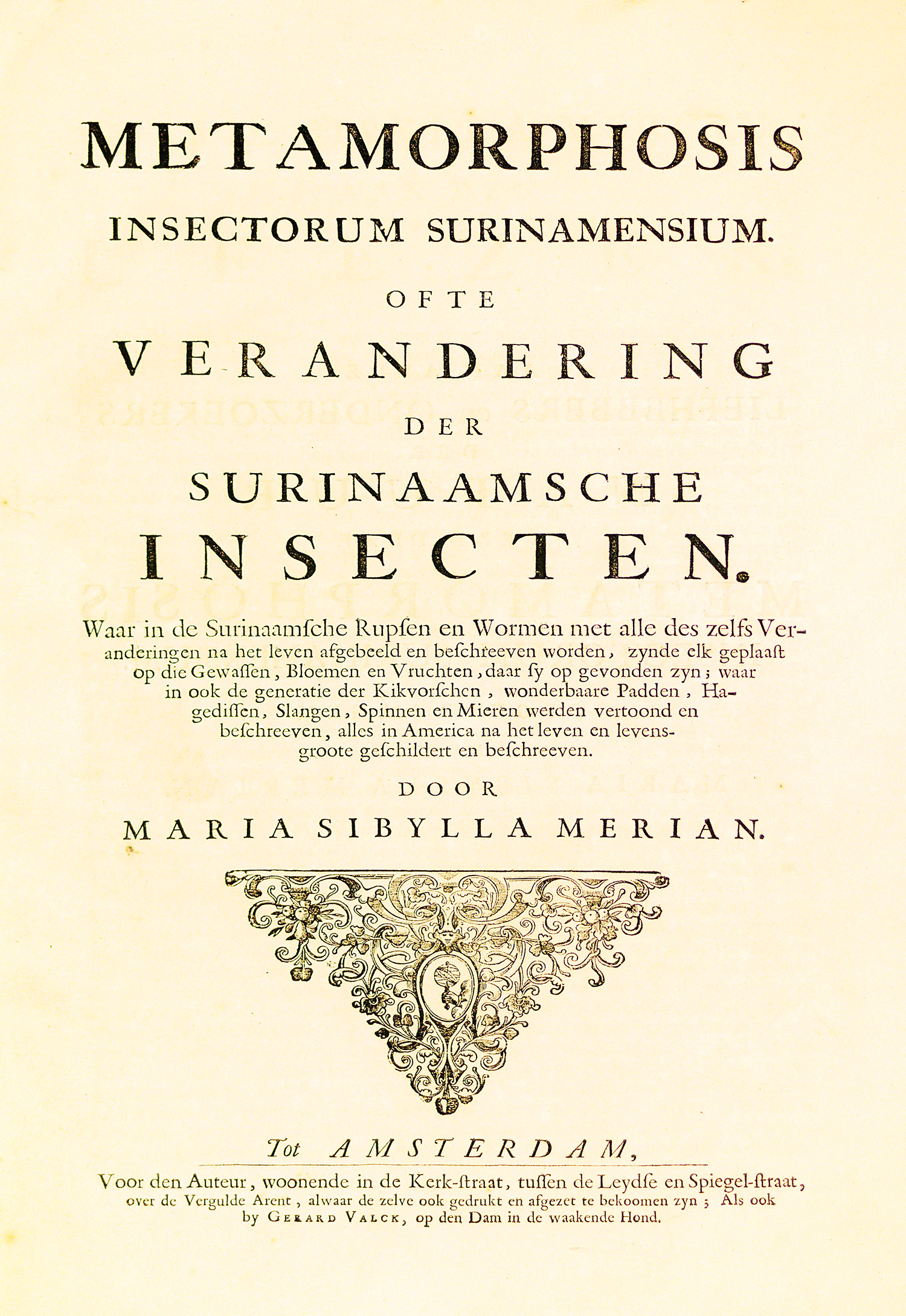 maria sibylla merian scientific class=