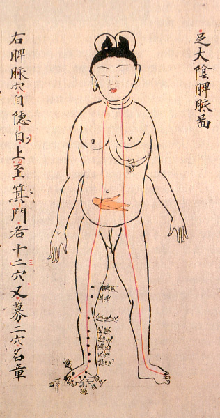 Edo-period medical illustration -- 