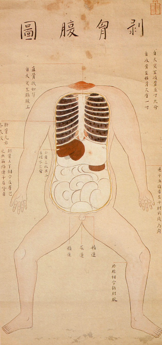 Edo-period medical illustration -- 