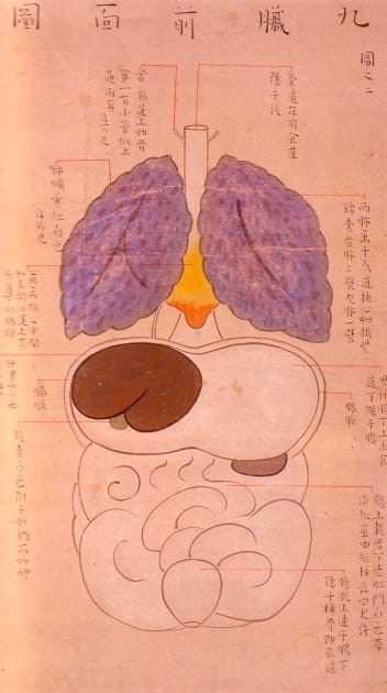 Edo-period medical illustration -- 