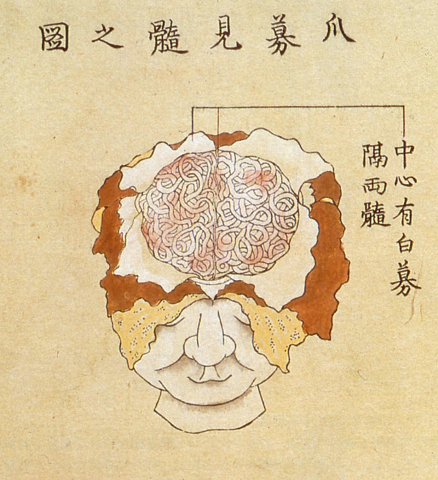 Edo-period medical illustration -- 