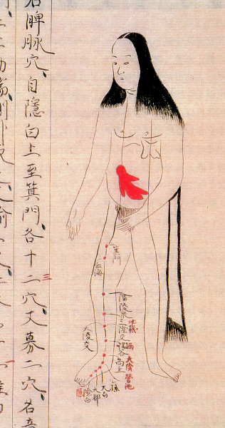 Edo-period medical illustration -- 