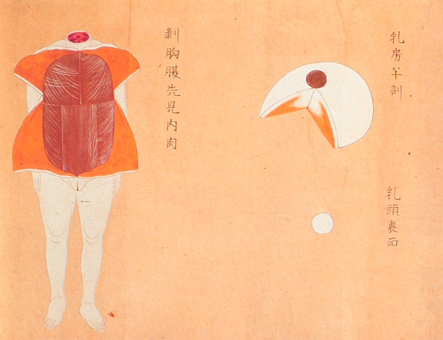 Edo-period medical illustration -- 