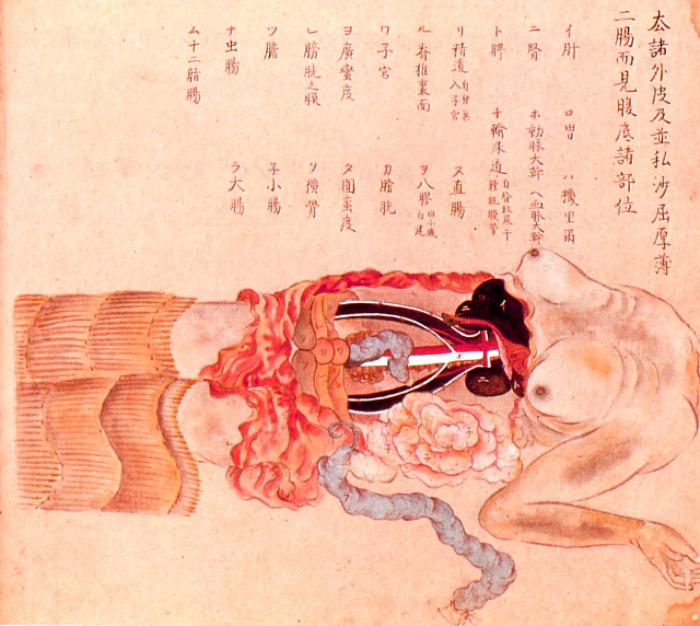 Edo-period medical illustration -- 
