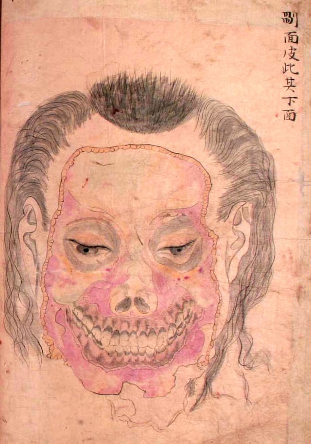 Edo-period medical illustration -- 