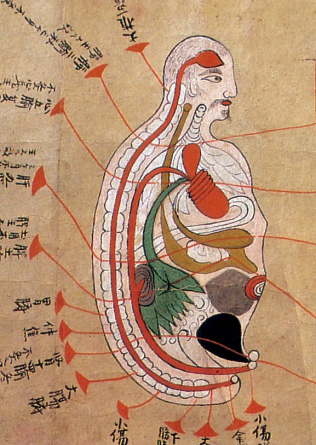 Edo-period medical illustration -- 