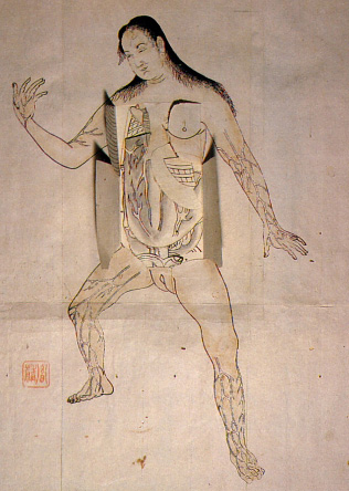 Edo-period medical illustration -- 